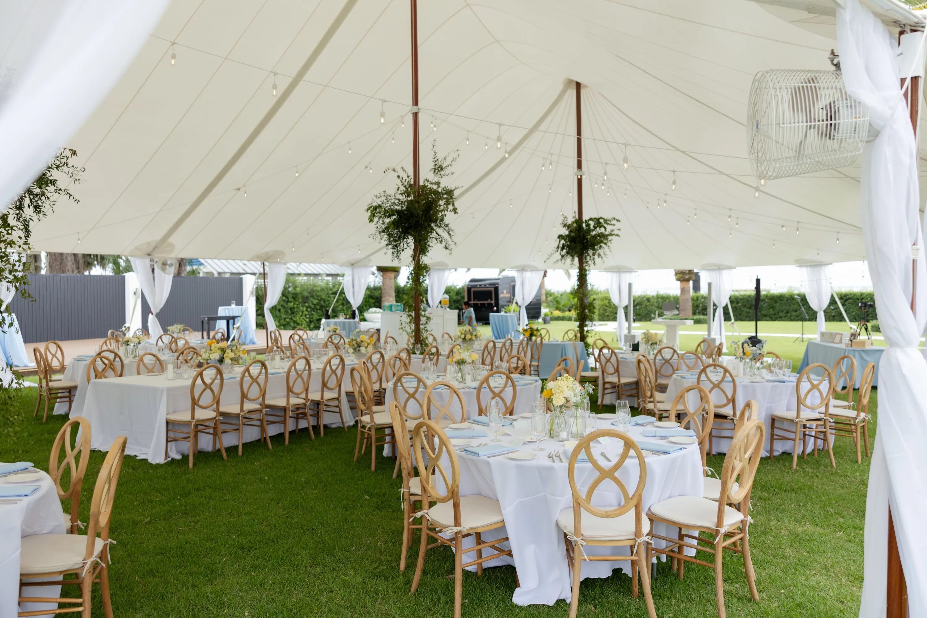 Inside the sailcloth tent, greenery climbing the poles