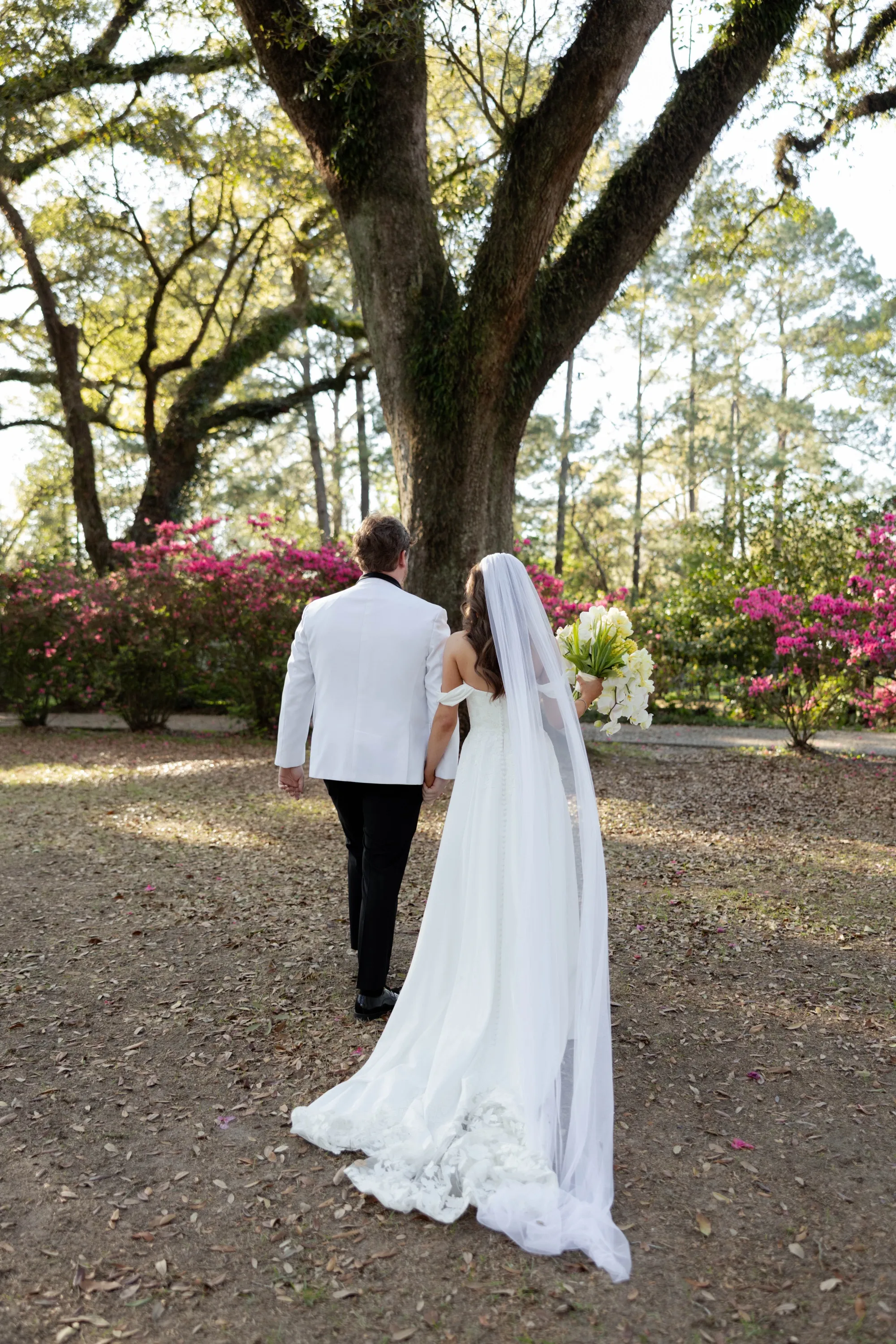Walking out under the live oaks and azaleas
