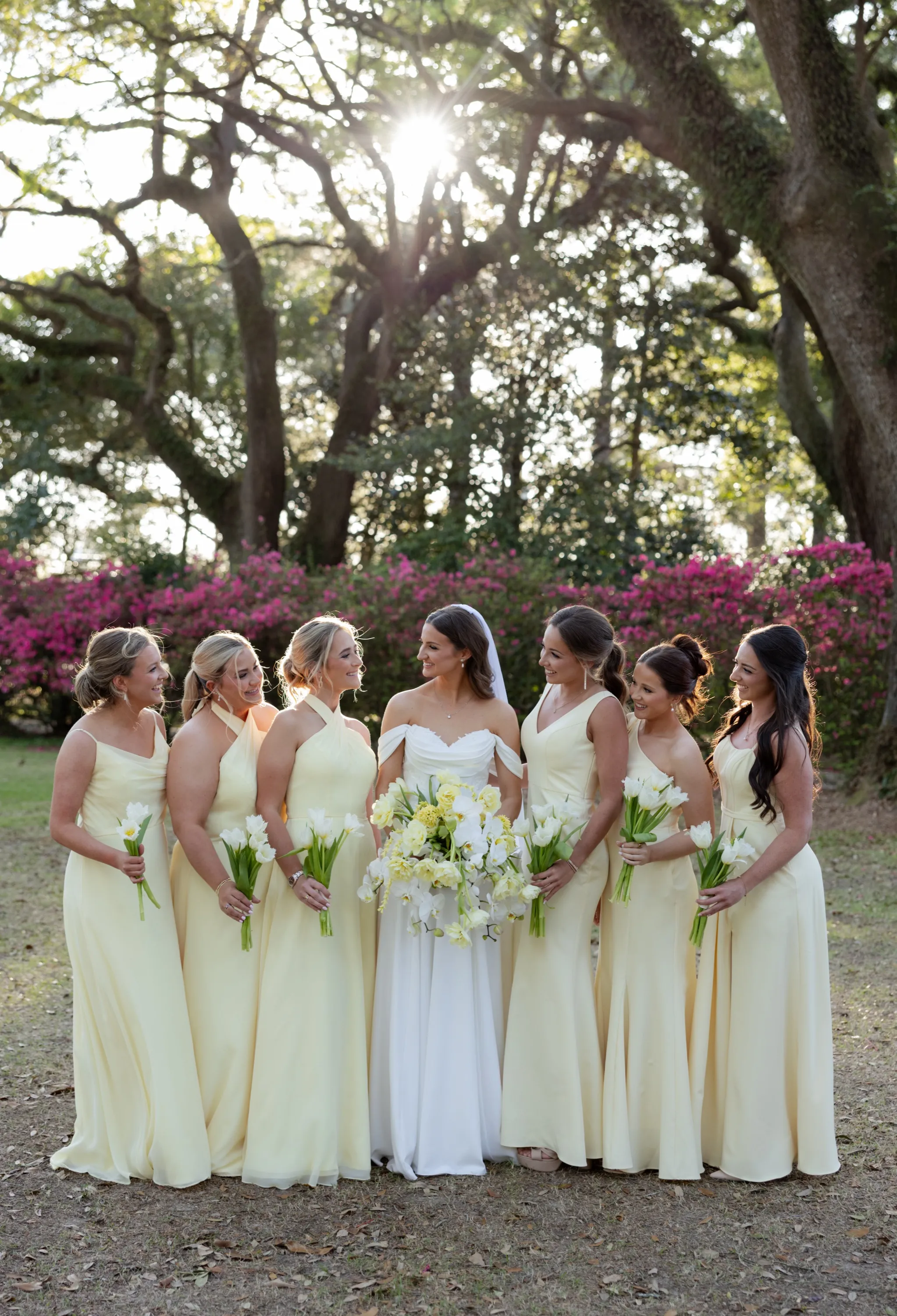Hallie with her bridesmaids in yellow, sun coming through the oaks